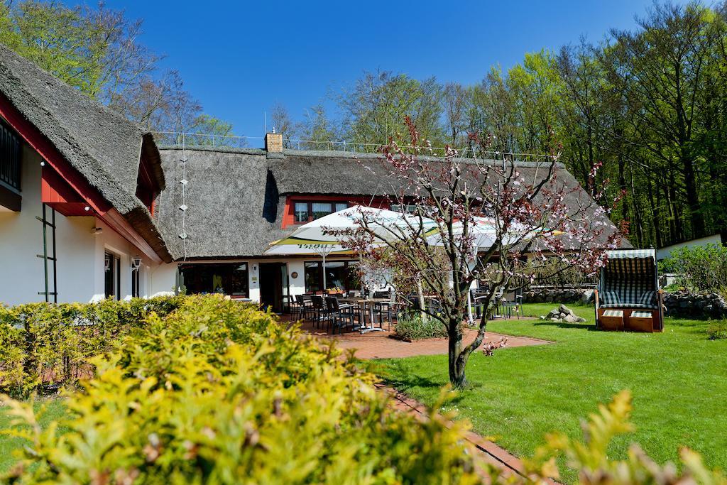 Restaurant & Hotel Baumhaus Hagen Sassnitz Esterno foto